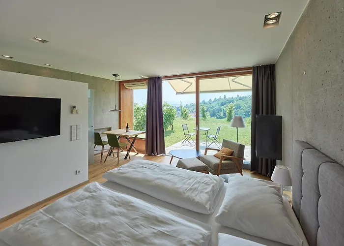 Hideaway An Der Weinstrasse - Pool & Sauna - Anderlage Spielfeld